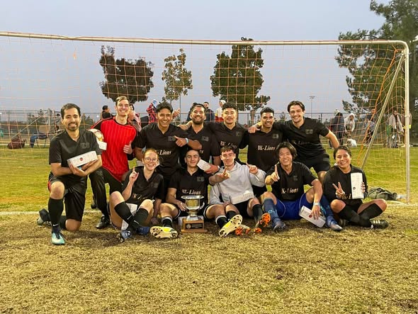 About AVA STAY FREE RECOVERY